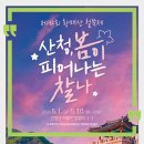 산청군농협문대지점 | 산청 가볼만한곳 1순위 황매산 철쭉, 황매산철쭉축제 방문 전 꼭 보세요