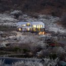 도무스(Domus) 이미지