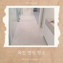 옥천상가 | 옥천병원청소 학원 상가 건물 청소대행업체