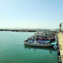 칼국수명가 이미지