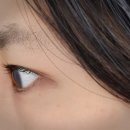 다은동물병원 | 산본속눈썹펌 하늘뷰티 속눈썹펌잘하는 곳