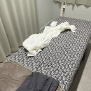 뮤토수기테라피
