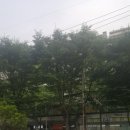 이지논술보습학원 이미지