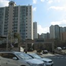 경기도 수원시 영통구 봉영로 이미지