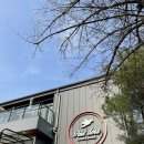 팍스디엠지 이미지