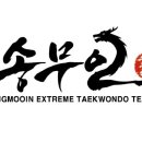 송무인영광 태권도 이미지
