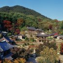 팔경농원
