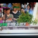 새싹농장 이미지