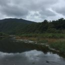 헌실교 옆 이미지