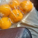 섬이라니,좋잖아요 | [제주도 초가집 숙소] 동쪽감성숙소 섬이라니 좋잖아요