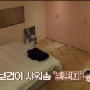 곽지 민박 이미지