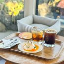 고양이샵 | 제주 동쪽 카페 추천 구좌 평대리 고양이 카페리 소품샵 후기