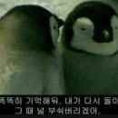살롱드J 이미지