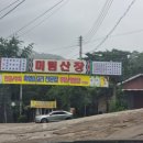 미림산장 이미지