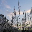 사랑의 눈동자 - 유익종 이미지