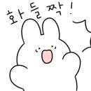 삼보 당구클럽 이미지