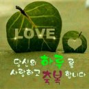비엔비 이미지