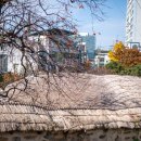 장안사랑채 | 민속촌인 줄 알았죠? 수원 도심 한복판입니다.