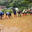 삼척남초교 이미지