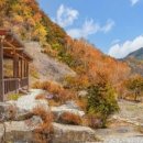 청풍민박