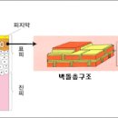 세전사 - 영덕군 우곡길 46-56 | 세전사