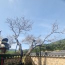 효충사 이미지