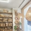 라온하제 이미지