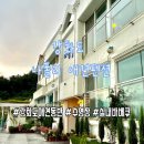나폴리펜션 | [인천 강화도] 애견동반, 반려견이랑 수영까지 할수 있는 강화도 나폴리 애견 펜션 내돈내산 후기