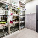 서울동물메디컬센터 이미지