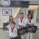 용인대 대한태권도 이미지