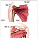 구성로 이미지
