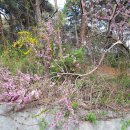 간석3동-23 이미지