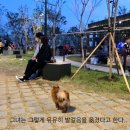 펫파크 방문후기 - 번외편 (펫카툰) 2탄