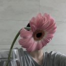 수정이네과일
