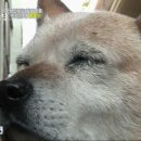 똘똘이농장 이미지