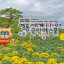 GS25 간석미래 | 2025 영동세계국악엑스포 일정 방문 후기