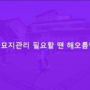 해오름약품 이미지