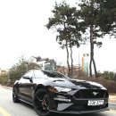 [ SSR ] FORD MUSTANG + SSR GTV-02 19인치 이미지