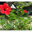 기와집숯불고기 이미지