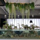 역삼1-136 | [서울/역삼역] 슬로우커피 역삼점 : 다양한 파충류가 있는 강남이색카페