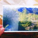 추동2교 - 횡성군 | 추동2교