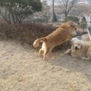그랜드가든 이미지