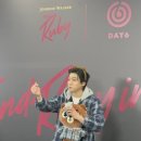 푸들사랑 이미지