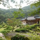 곡성-232 이미지