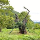 회화주택 뉴시스