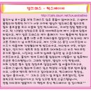 샤인나래