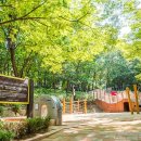 양지근린공원 어린이놀이터 이미지