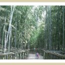 푸른산내들 이미지