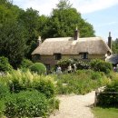 테스 (Tess) 이미지