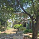 작은마을, 작은숲 이미지